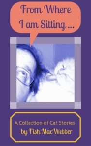 Book Cover Design Peach chat bubble with yellow text box