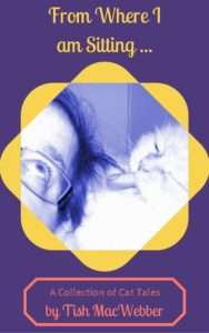 Yellow frame on th epicture